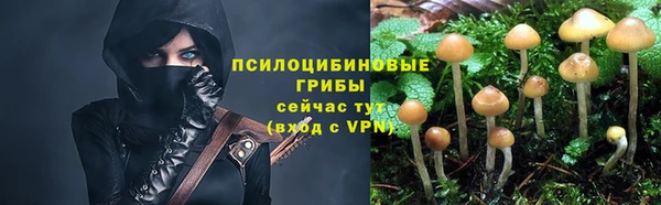 гашик Покров