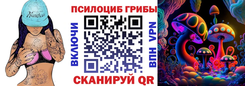 Псилоцибиновые грибы мицелий  даркнет официальный сайт  Сосновка 